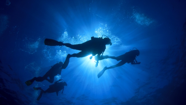 Group of people scuba diving